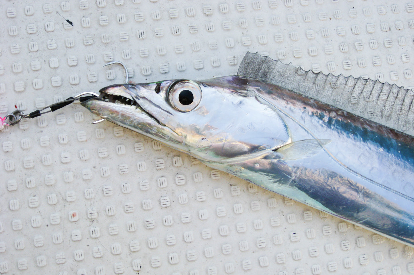 ASSIST HOOK DECOY TACHI PIKE DJ-89